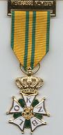 Medaille nr. 11, het Gouden Kruis met kroon