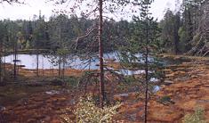 Uitzicht op het meertje